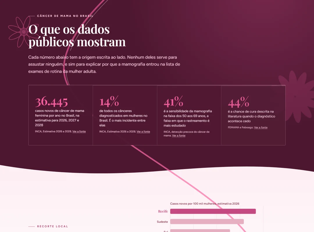 Os dados do INCA, cada um com a fonte ao lado